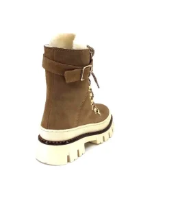 42042 Daim Marron*Elena Best