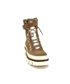 42042 Daim Marron*Elena Best