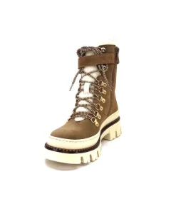 42042 Daim Marron*Elena Best