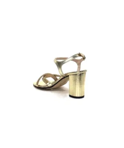 Ivoire F1607 Asia Cuir Gold*Ivoire0334 Best