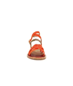 Ivoire S202 S640 Orange*fiorina Clearance
