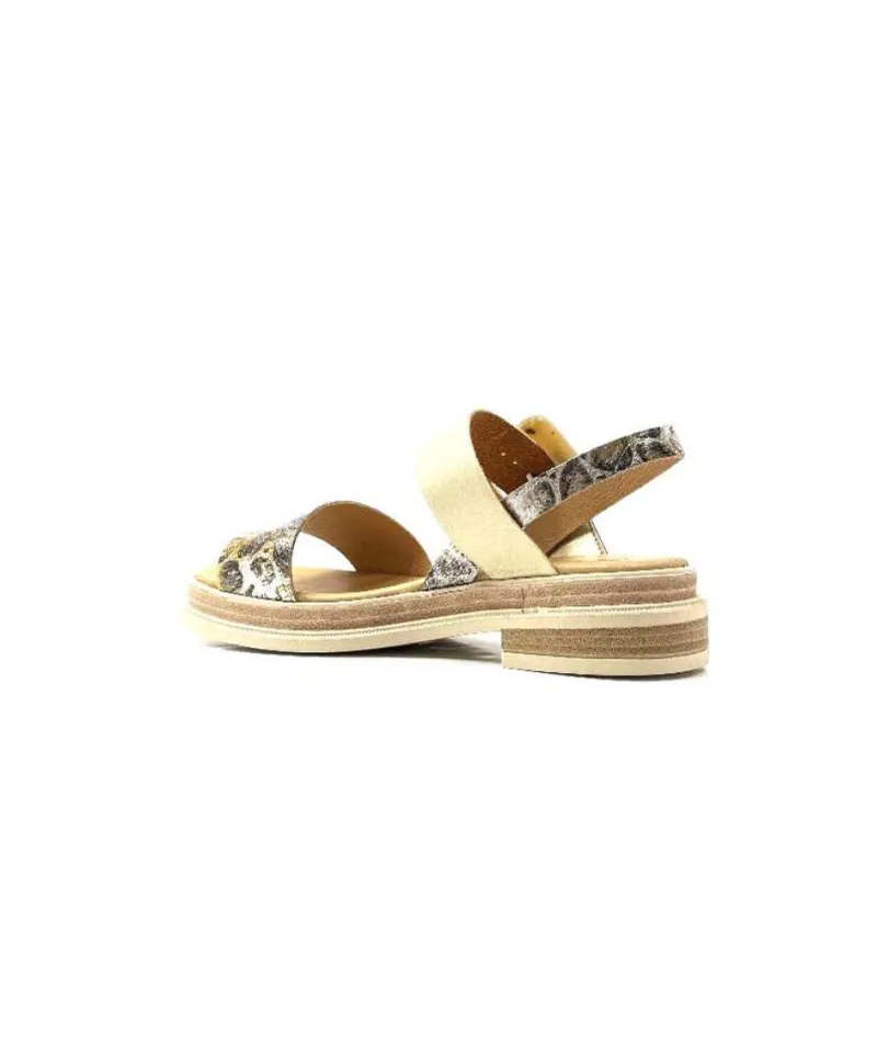 Delice 1 Cuir Dore Leo*MKD Best